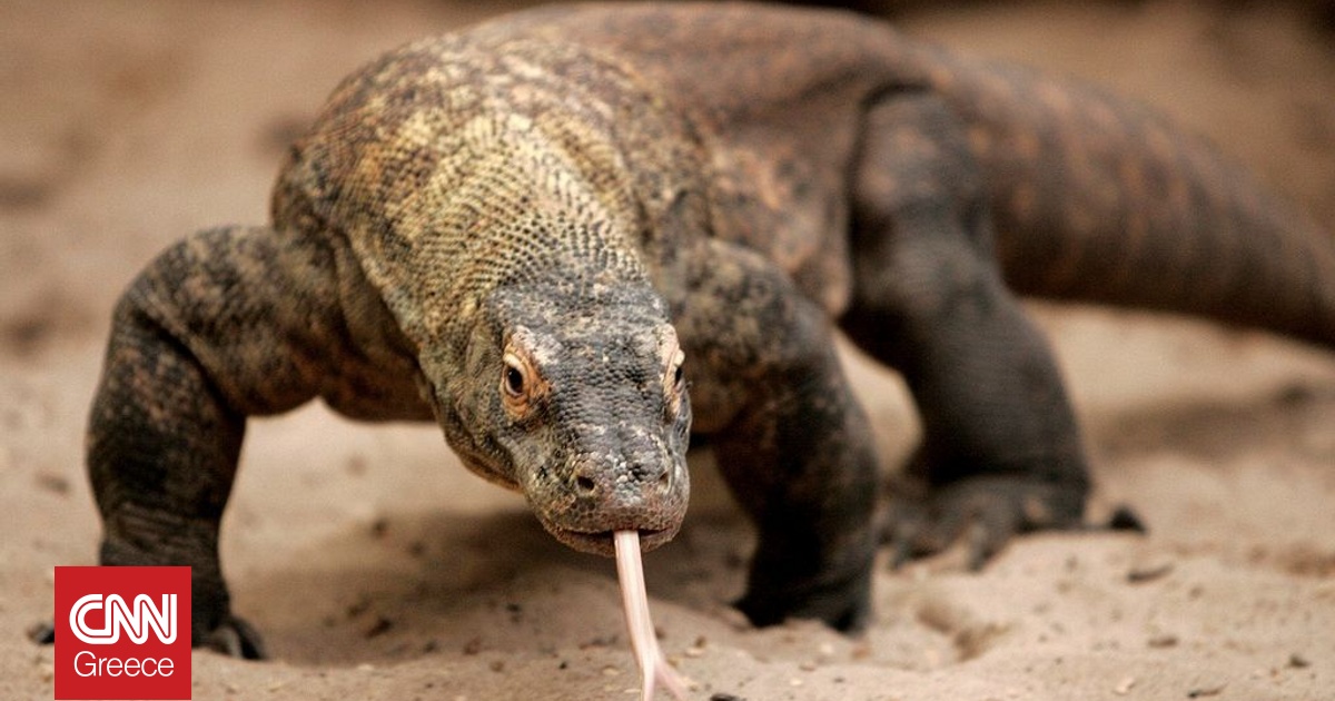 &Iota;&nu;&delta;&omicron;&nu;&eta;&sigma;ί&alpha;: Έ&xi;&iota; ά&nu;&theta;&rho;&omega;&pi;&omicron;&iota; &sigma;&upsilon;&nu;&epsilon;&lambda;ή&phi;&theta;&eta;&sigma;&alpha;&nu; &gamma;&iota;&alpha; &delta;&iota;&alpha;&kappa;ί&nu;&eta;&sigma;&eta; &Delta;&rho;ά&kappa;&omega;&nu; &tau;&omicron;&upsilon; &Kappa;&omicron;&mu;ό&nu;&tau;&omicron;