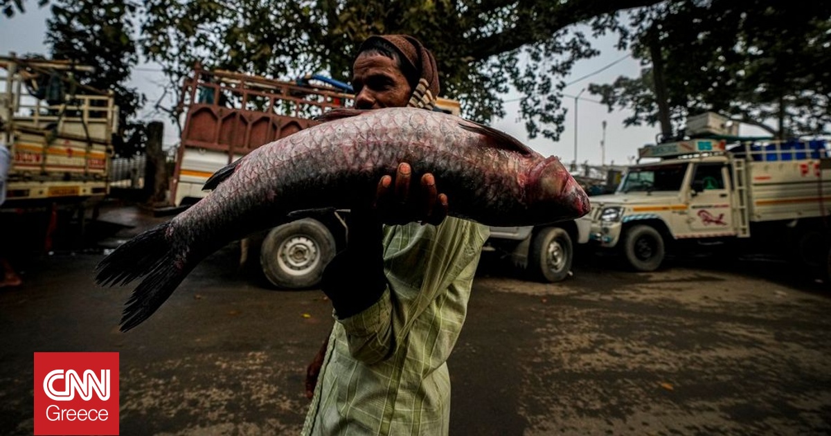 &Gamma;&iota;&alpha;&tau;ί &pi;&omicron;&lambda;&iota;&tau;&iota;&kappa;&omicron;ί &sigma;&tau;&eta;&nu; &Iota;&nu;&delta;ί&alpha; &kappa;ά&nu;&omicron;&upsilon;&nu; &pi;&rho;&omicron;&epsilon;&kappa;&lambda;&omicron;&gamma;&iota;&kappa;ή &epsilon;&kappa;&sigma;&tau;&rho;&alpha;&tau;&epsilon;ί&alpha; &kappa;&rho;&alpha;&tau;ώ&nu;&tau;&alpha;&sigmaf; &psi;ά&rho;&iota;&alpha; - &Epsilon;&mu;&pi;&lambda;&omicron;&kappa;ή &kappa;&alpha;&iota; &tau;&omicron;&upsilon; &Mu;ό&nu;&tau;&iota;