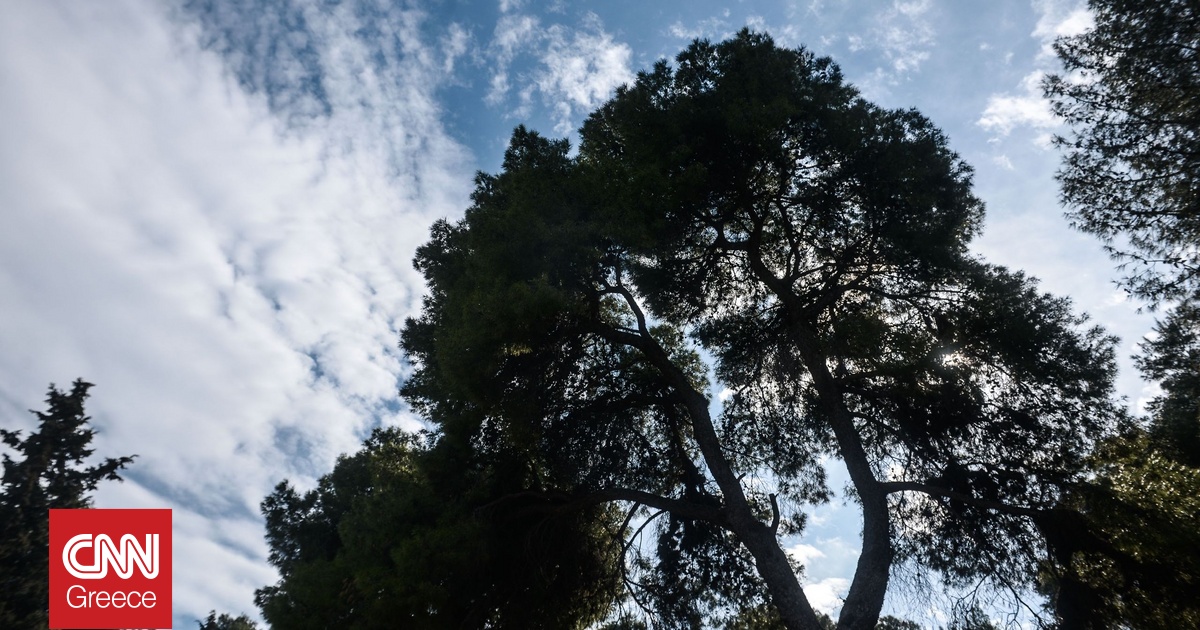 Εντυπωσιακή πτώση θερμοκρασίας 8-10 βαθμών – Επιστρέφει η άνοιξη από Δευτέρα — image 2