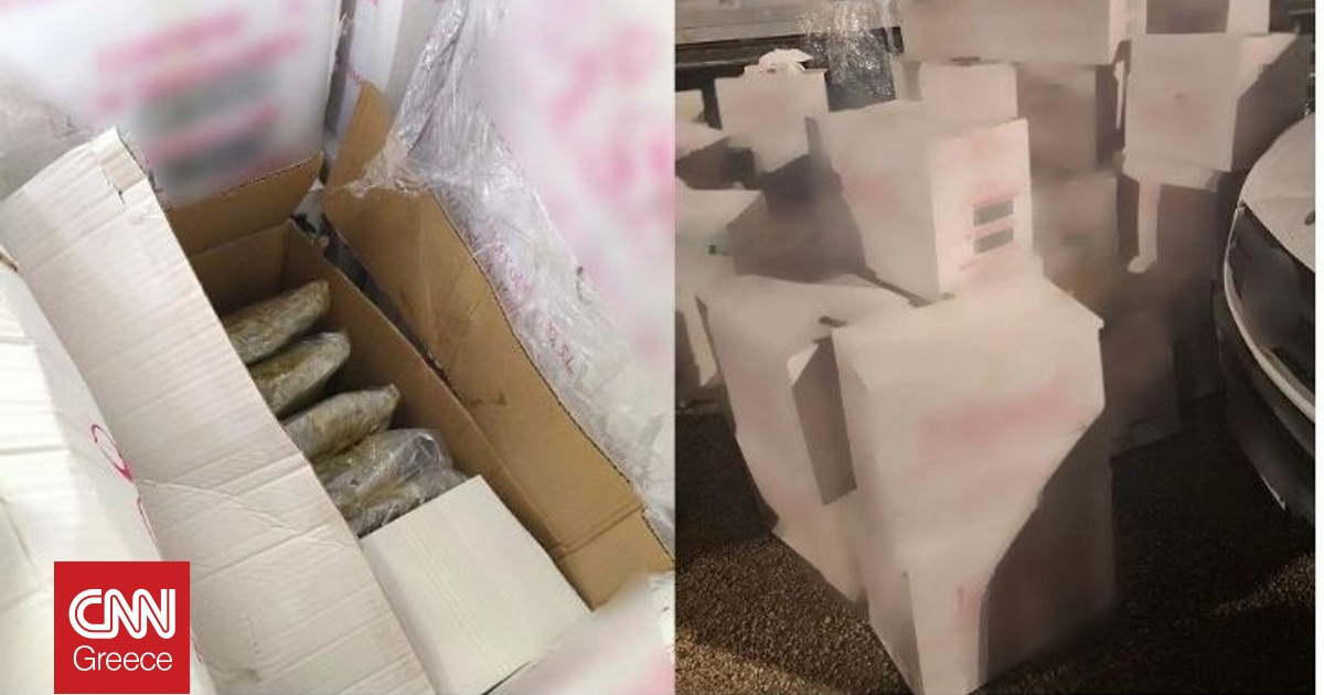 &Sigma;&tau;&omicron;&nu; &alpha;&nu;&alpha;&kappa;&rho;&iota;&tau;ή &omicron; 50&chi;&rho;&omicron;&nu;&omicron;&sigmaf; &omicron;&delta;&eta;&gamma;ό&sigmaf; &phi;&omicron;&rho;&tau;&eta;&gamma;&omicron;ύ &gamma;&iota;&alpha; &tau;&omicron;&nu; &mu;&iota;&sigma;ό &tau;ό&nu;&omicron; skunk &sigma;&tau;&eta;&nu; &Eta;&gamma;&omicron;&upsilon;&mu;&epsilon;&nu;ί&tau;&sigma;&alpha;