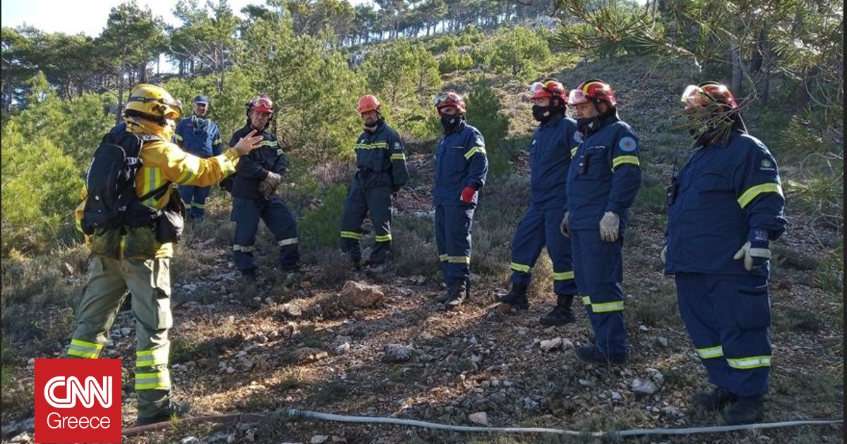 &Sigma;&upsilon;&nu;&epsilon;&rho;&gamma;&alpha;&sigma;ί&alpha; Procter Gamble &kappa;&alpha;&iota; WWF &Epsilon;&lambda;&lambda;ά&sigmaf;: 5 &chi;&rho;ό&nu;&iota;&alpha; &delta;&rho;ά&sigma;&eta;&sigmaf; &gamma;&iota;&alpha; &tau;&alp