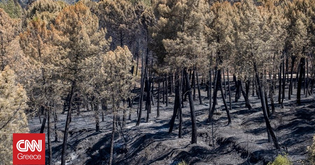 &Phi;&omega;&tau;&iota;έ&sigmaf; &sigma;&tau;&eta;&nu; &Iota;&sigma;&pi;&alpha;&nu;ί&alpha;: &Sigma;&tau;ά&chi;&tau;&eta; 260.000 &sigma;&tau;&rho;έ&mu;&mu;&alpha;&tau;&alpha;, &epsilon;&kappa;&kappa;&epsilon;&nu;ώ&theta;&eta;&kappa;&alpha;&nu; 28 &omicron;&iota;&kappa;&iota;&sigma;&mu;&omicron;ί, 1.200 &epsilon;&tau;&omicron;&pi;&iota;&sigma;&mu;έ&nu;&omicron;&iota;