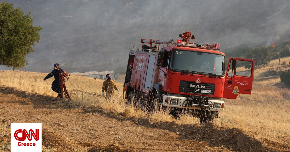 Φωτιά σε δασική έκταση στη περιοχή Κωφοί Μαγνησίας – Σηκώθηκαν εναέρια μέσα Φωτιά σε δασική έκταση στη περιοχή Κωφοί Μαγνησίας – Σηκώθηκαν εναέρια μέσα