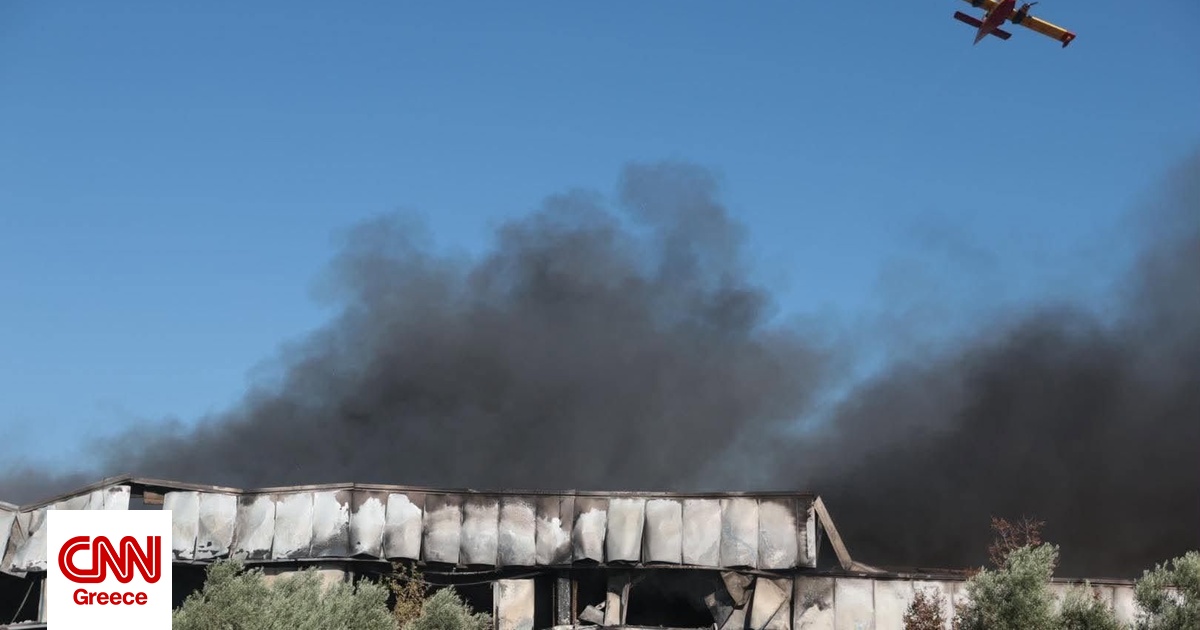 Συλλυπητήρια της Ομοσπονδίας πυροσβεστών για τους νεκρούς πιλότους στην Τανάγρα Συλλυπητήρια της Ομοσπονδίας πυροσβεστών για τους νεκρούς πιλότους στην Τανάγρα