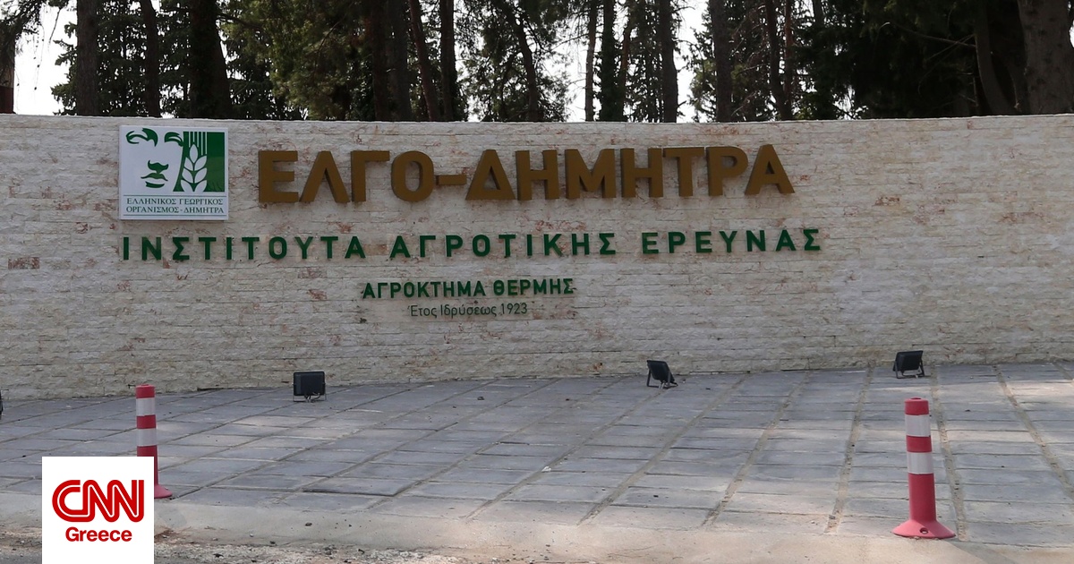 Παραιτήθηκαν δύο αντιπρόεδροι του ΕΛΓΟ – ΔΗΜΗΤΡΑ: Τι αναφέρει το ΥΠΑΑΤ Παραιτήθηκαν δύο αντιπρόεδροι του ΕΛΓΟ – ΔΗΜΗΤΡΑ: Τι αναφέρει το ΥΠΑΑΤ