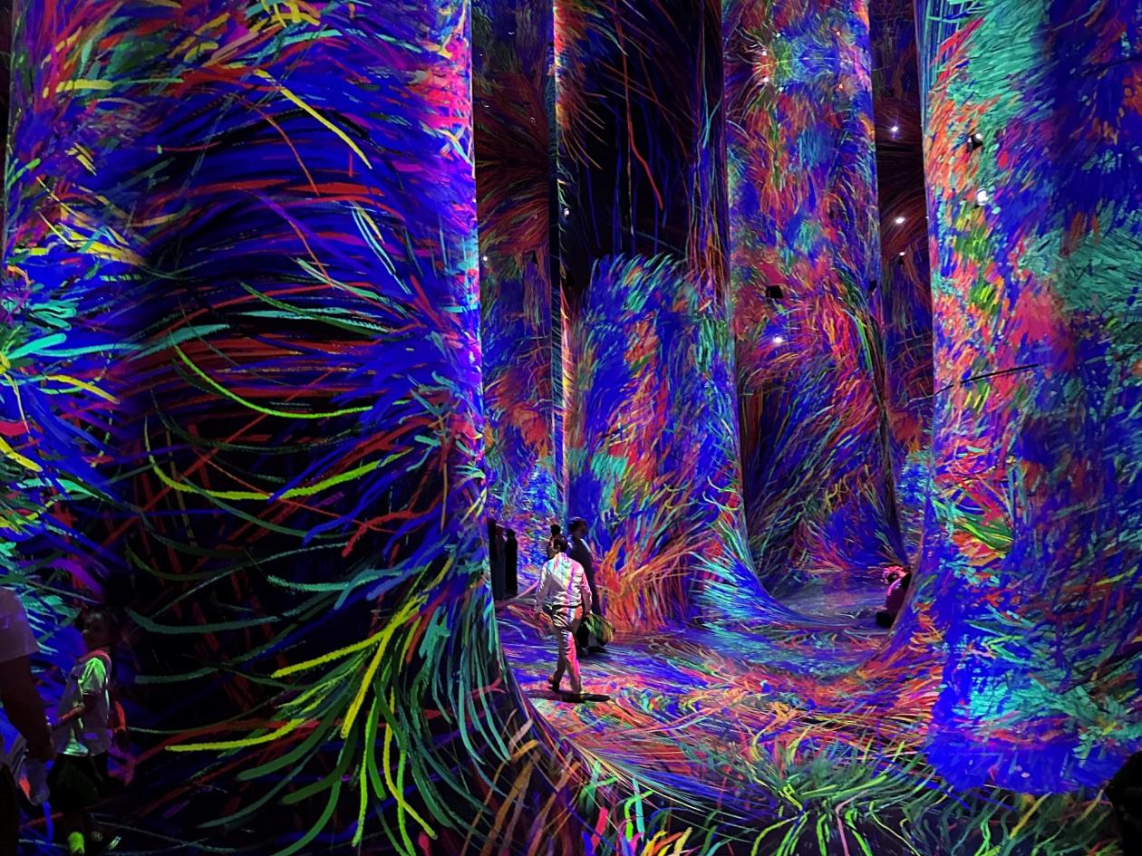 TeamLab Phenomena 