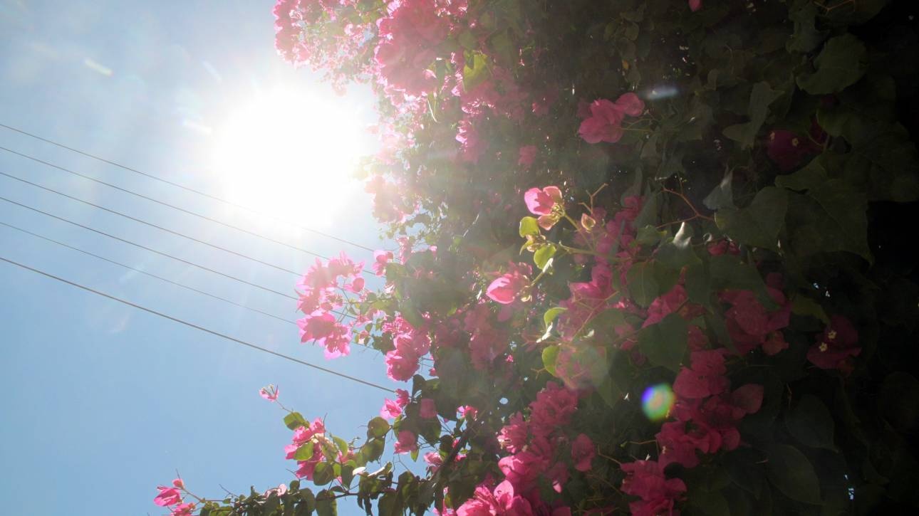 &Kappa;&alpha;&iota;&rho;ό&sigmaf;: &Alpha;&nu;&omicron;&iota;&xi;&iota;ά&tau;&iota;&kappa;&omicron;&sigmaf; &mu;&epsilon; &pi;&rho;ό&sigma;&kappa;&alpha;&iota;&rho;&epsilon;&sigmaf; &nu;&epsilon;&phi;ώ&sigma;&epsilon;&iota;&sigmaf; - Έ&omega;&sigmaf; 19 &beta;&alpha;&theta;&mu;&omicron;ύ&sigmaf; &omicron; &upsilon;&delta;&rho;ά&rho;&gamma;&upsilon;&rho;&omicron;&sigmaf;