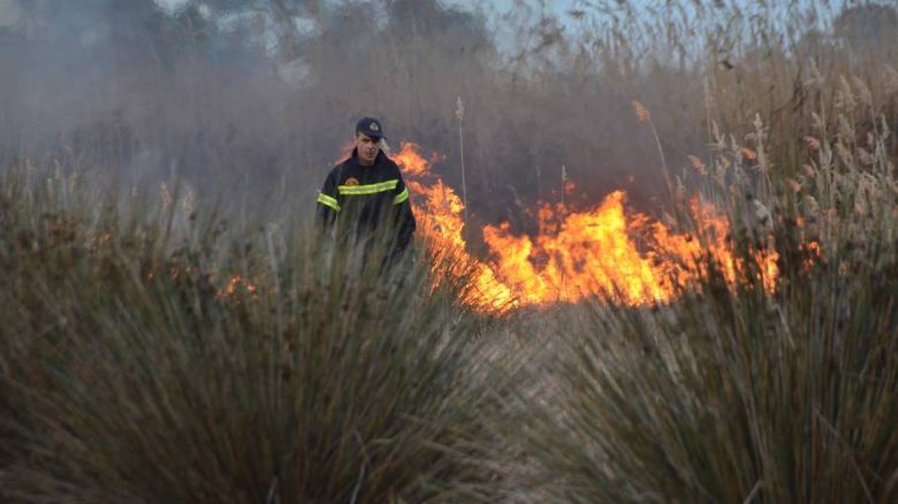 Φωτιά στο Μενίδι: Καίει κοντά σε οικισμό Ρομά