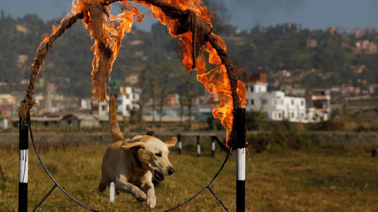 Αστυνομικές επιδείξεις στο Κατμαντού