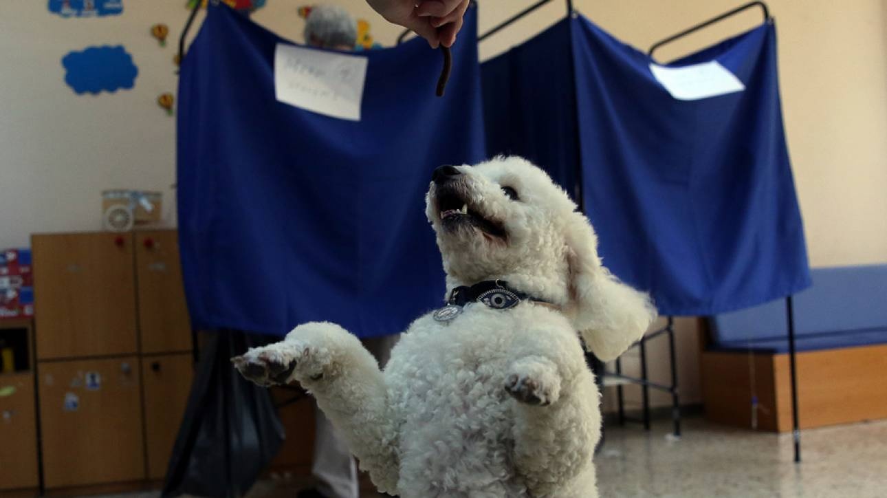Εκλογές 2019: Ο... ψηφοφόρος που έκλεψε την παράσταση!