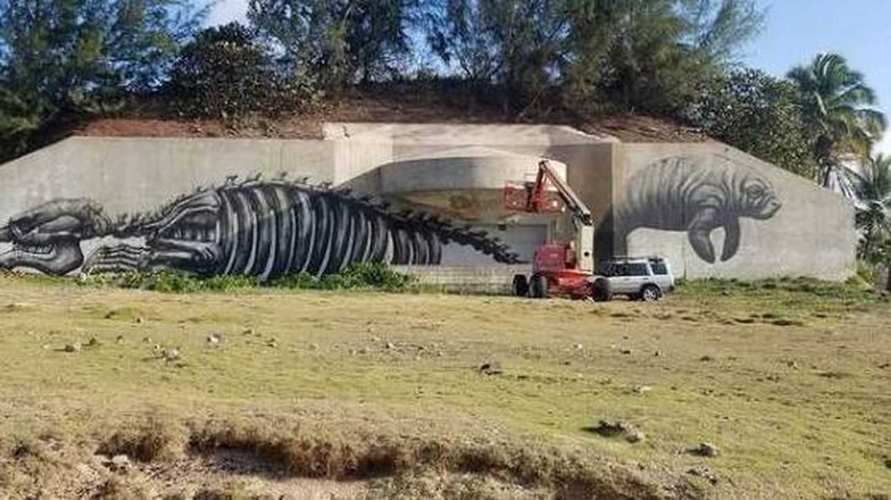 Οι τοιχογραφίες ενός Βέλγου street artist αναδεικνύουν τη βιοποικιλότητα του Πουέρτο Ρίκο