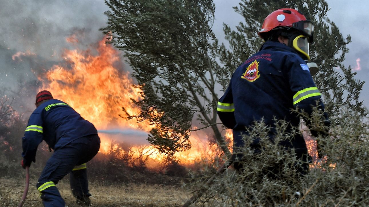 Πυροσβέστης έπεσε στα βράχια κατά την κατάσβεση φωτιάς στην Αργολίδα – Κρίσιμη η κατάστασή του