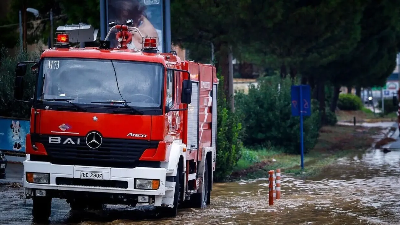 Μύκητας που ανακαλύφθηκε πρόσφατα μετατρέπει σε «ζόμπι» τις αράχνες που ζουν σε σπήλαια