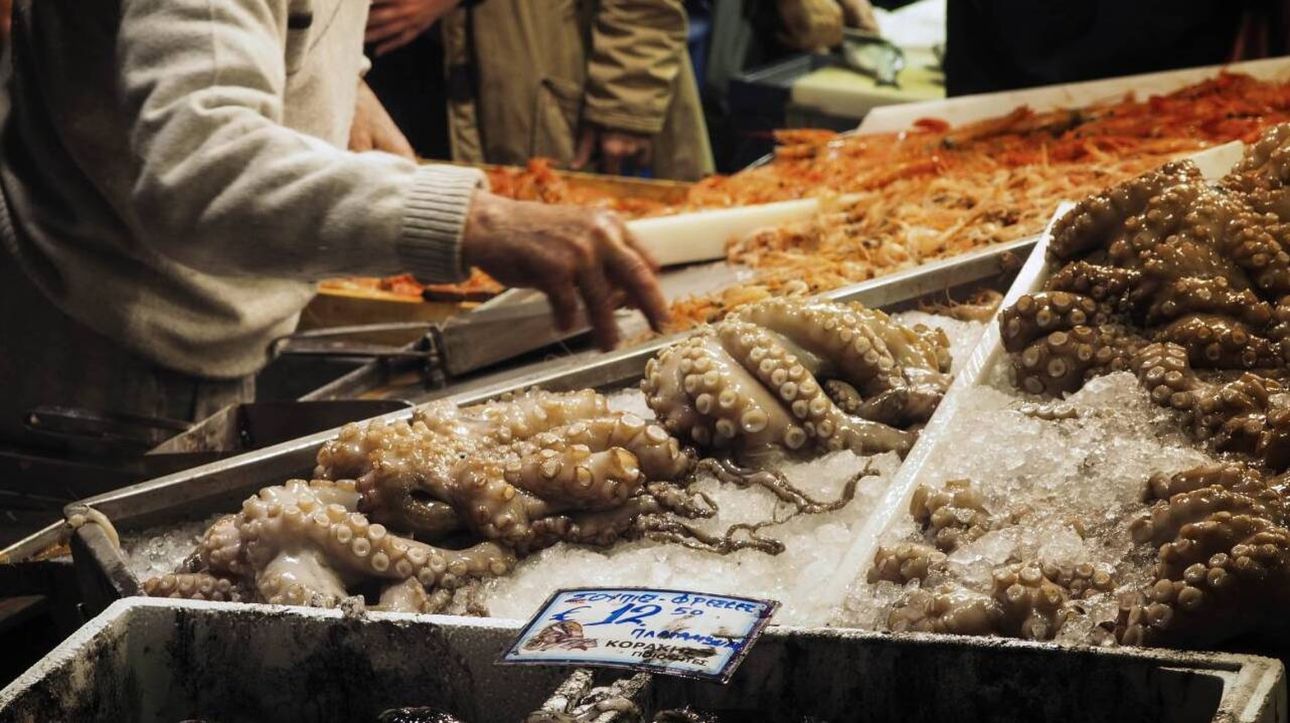 &Epsilon;&Phi;&Epsilon;&Tau;: &Omicron;&delta;&eta;&gamma;ί&epsilon;&sigmaf; &gamma;&iota;&alpha; &tau;&eta;&nu; &phi;ύ&lambda;&alpha;&xi;&eta; &kappa;&alpha;&iota; &kappa;&alpha;&tau;&alpha;&nu;ά&lambda;&omega;&sigma;&eta; &tau;&rho;&omicron;&phi;ί&mu;&omega;&nu; &tau;&eta;&nu; &Kappa;&alpha;&theta;&alpha;&rho;ά &Delta;&epsilon;&upsilon;&tau;έ&rho;&alpha; &kappa;&alpha;&iota; &tau;&eta; &Sigma;&alpha;&rho;&alpha;&kappa;&omicron;&sigma;&tau;ή