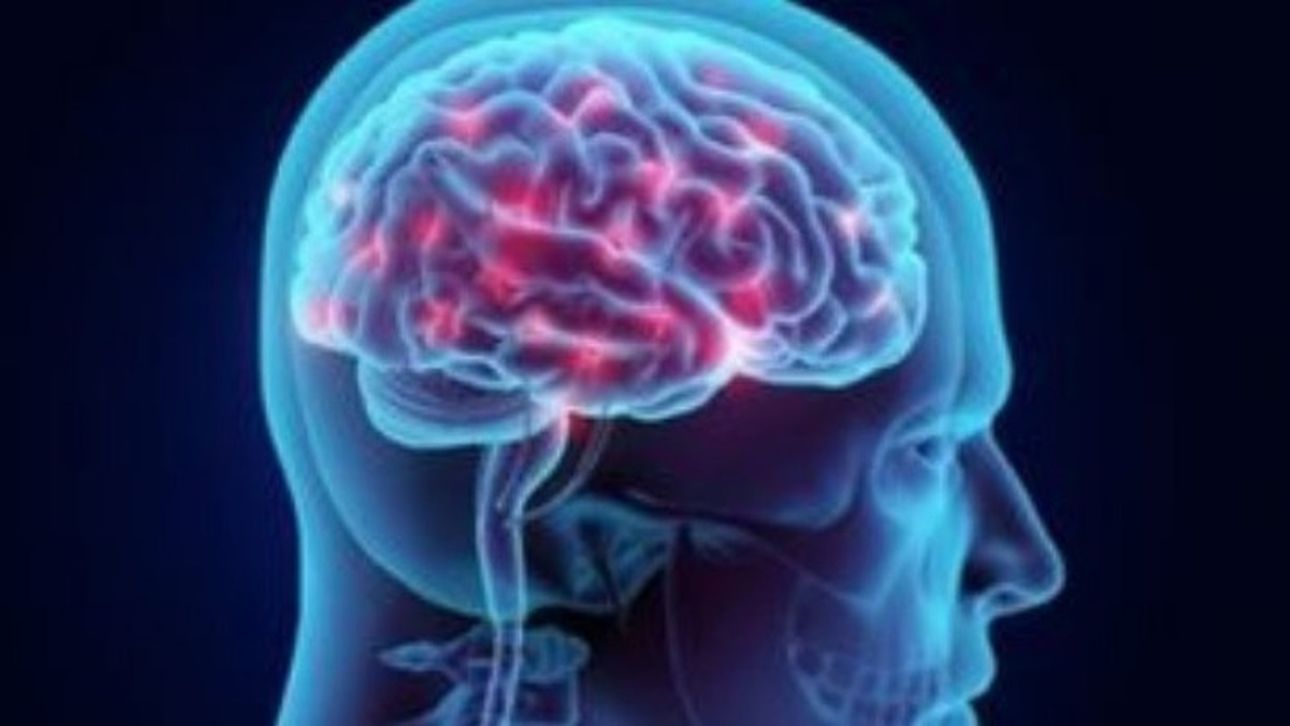 &Nu;έ&alpha; &mu;&epsilon;&lambda;έ&tau;&eta;: &Tau;&alpha; &upsilon;&psi;&eta;&lambda;ά &epsilon;&pi;ί&pi;&epsilon;&delta;&alpha; &beta;&iota;&tau;&alpha;&mu;ί&nu;&eta;&sigmaf; D &mu;&pi;&omicron;&rho;&epsilon;ί &nu;&alpha; &mu;&epsilon;&iota;ώ&sigma;&omicron;&upsilon;&nu; &tau;&omicron;&nu; &kappa;ί&nu;&delta;&upsilon;&nu;&omicron; &Alpha;&lambda;&tau;&sigma;&chi;ά&iota;&mu;&epsilon;&rho;