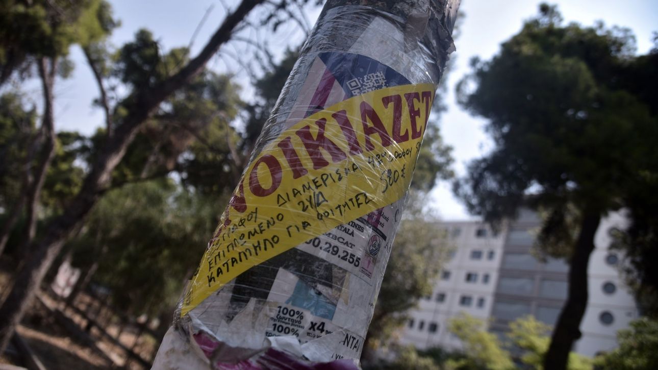 3936589.jpg?t=dKTgvslk9pQBEKmMby1qfA