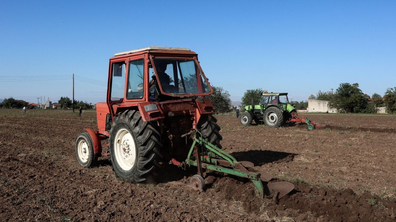 Ποιος σπέρνει, ποιος θερίζει, ποιος πληρώνει