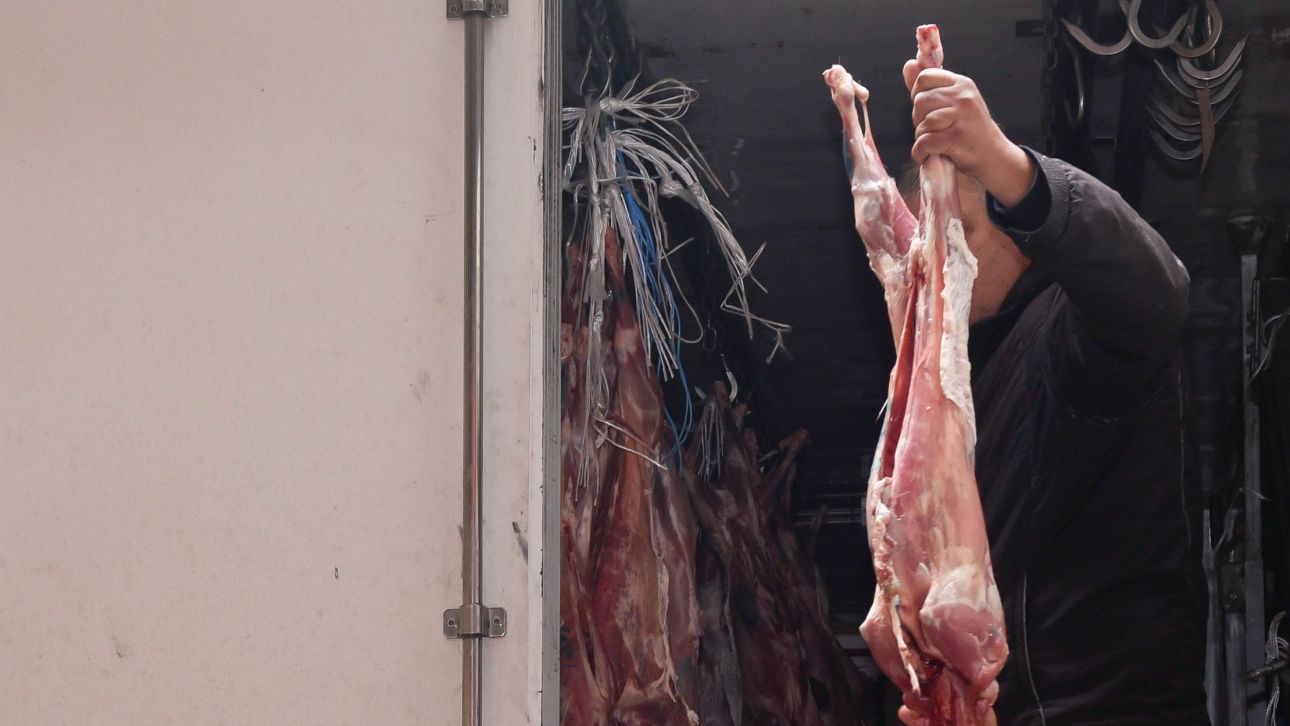 &Pi;ά&sigma;&chi;&alpha;: &Epsilon;&kappa;&alpha;&tau;&omicron;&nu;&tau;ά&delta;&epsilon;&sigmaf; έ&lambda;&epsilon;&gamma;&chi;&omicron;&iota; &sigma;&tau;&eta;&nu; &alpha;&gamma;&omicron;&rho;ά &sigma;&epsilon; ό&lambda;&eta; &tau;&eta; &chi;ώ&rho;&alpha; &ndash; &Pi;ώ&sigmaf; &delta;&iota;&alpha;&mu;&omicron;&rho;&phi;ώ&nu;&omicron;&nu;&tau;&alpha;&iota; &omicron;&iota; &tau;&iota;&mu;έ&sigmaf; &sigma;&tau;&omicron; &alpha;&rho;&nu;ί