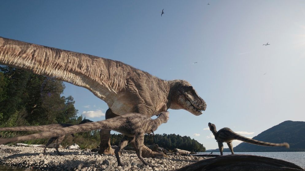 Γιατί επιστήμονες πιστεύουν ότι τα κρανία των πτηνών κρύβουν στοιχεία για ζωή των δεινοσαύρων