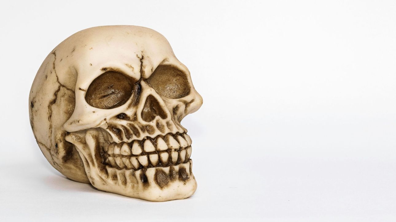 &Alpha;&pi;&omicron;&kappa;&alpha;&lambda;ύ&phi;&theta;&eta;&kappa;&epsilon; &tau;&omicron; &pi;&rho;ό&sigma;&omega;&pi;&omicron; &epsilon;&nu;ό&sigmaf; &laquo;&beta;&rho;&iota;&kappa;ό&lambda;&alpha;&kappa;&alpha;&raquo;: &Eta; &epsilon;&pi;&iota;&sigma;&tau;ή&mu;&eta; &alpha;&nu;&alpha;&kappa;&alpha;&tau;&alpha;&sigma;&kappa;&epsilon;&upsilon;ά&zeta;&epsilon;&iota; &tau;&eta;&nu; &epsilon;&iota;&kappa;ό&nu;&alpha; &tau;&omicron;&upsilon;