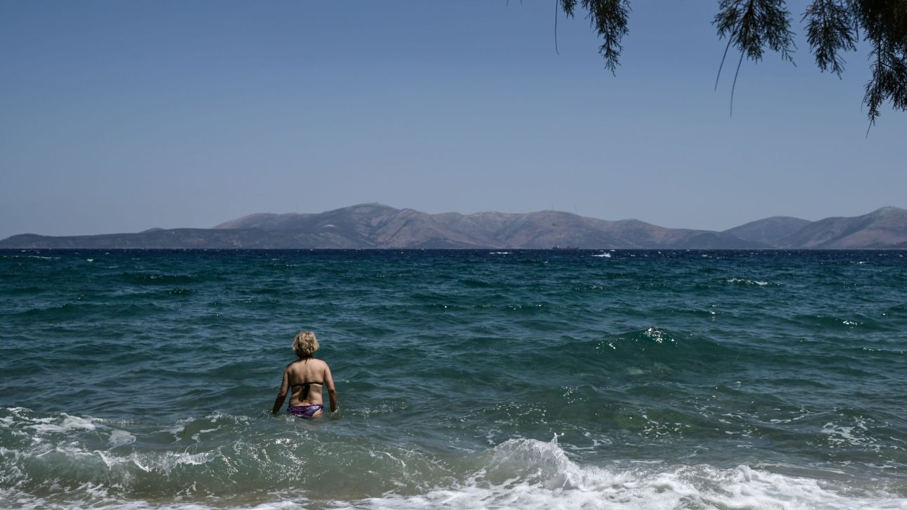 &Delta;ύ&omicron; &nu;&epsilon;&kappa;&rho;&omicron;ί &lambda;&omicron;&upsilon;ό&mu;&epsilon;&nu;&omicron;&iota; &sigma;&epsilon; &Kappa;&omega; &kappa;&alpha;&iota; &Chi;&alpha;&lambda;&kappa;&iota;&delta;&iota;&kappa;ή &mu;&epsilon; &delta;&iota;&alpha;&phi;&omicron;&rho;ά &lambda;ί&gamma;&omega;&nu; &omega;&rho;ώ&nu;