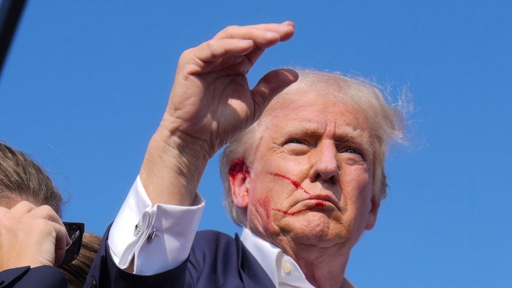 0bed8981-AP24195853610079.jpg?t=FDPzkQHi