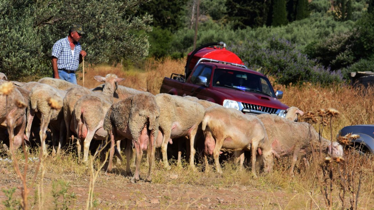 a2fa3e9e-6254829.jpg?t=2pQW7bAdFyQbkSVJD