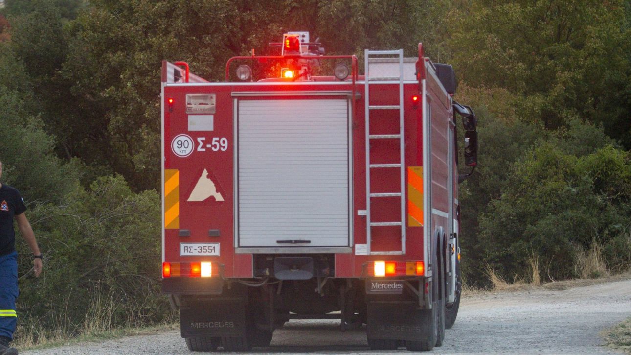 Φωτιά σε δασική έκταση στο Λιβάδι Καλαβρύτων – Επιχειρούν εναέρια μέσα Φωτιά σε δασική έκταση στο Λιβάδι Καλαβρύτων – Επιχειρούν εναέρια μέσα