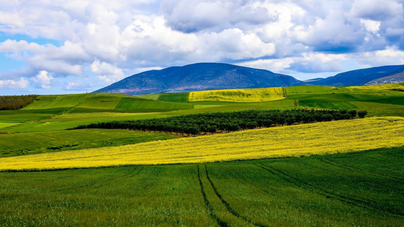 &Epsilon;&nu;&iota;&alpha;ί&alpha; &Alpha;ί&tau;&eta;&sigma;&eta; &Epsilon;&nu;ί&sigma;&chi;&upsilon;&sigma;&eta;&sigmaf;: &Pi;&omicron;&iota;&omicron;&upsilon;&sigmaf; &pi;&alpha;&rho;&alpha;&gamma;&omega;&gamma;&omicron;ύ&sigmaf;, &alpha;&gamma;&rho;ό&tau;&epsilon;&sigmaf;, &kappa;&tau;&eta;&nu;&omicron;&tau;&rho;ό&phi;&omicron;&upsilon;&sigmaf; &alpha;&phi;&omicron;&rho;ά