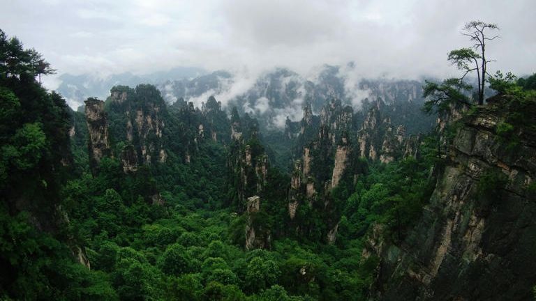 Μαζική επιχείρηση καθαρισμού σπηλαίων κοντά στα «Βουνά του Avatar» στην Κίνα μετά από viral βίντεο