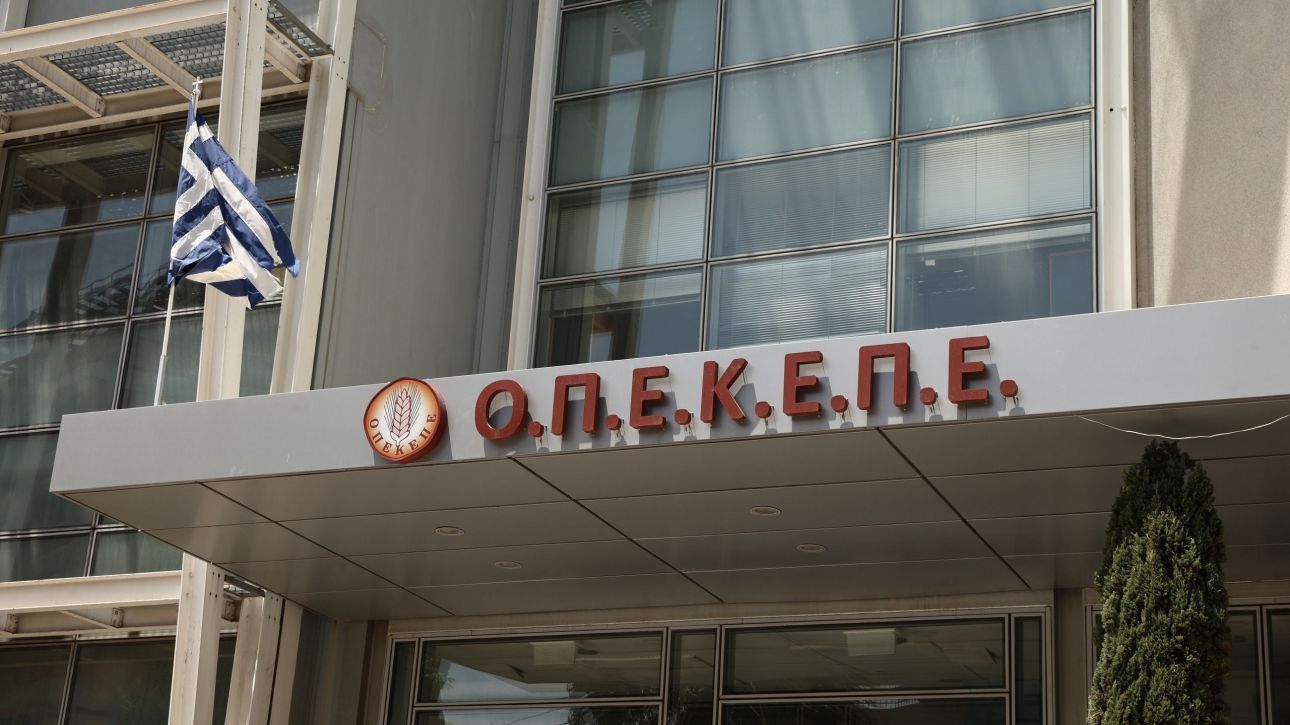 Ερωτήματα ΣΥΡΙΖΑ προς Μητσοτάκη για επιδότηση «μαμούθ» από τον ΟΠΕΚΕΠΕ σε πολιτεύτρια της ΝΔ Ερωτήματα ΣΥΡΙΖΑ προς Μητσοτάκη για επιδότηση «μαμούθ» από τον ΟΠΕΚΕΠΕ σε πολιτεύτρια της ΝΔ
