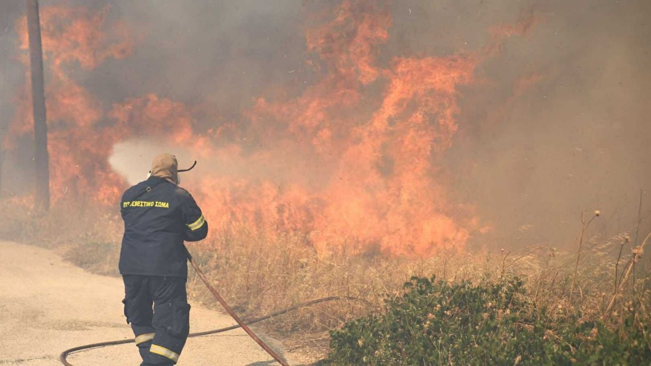 Φωτιά σε δασική έκταση στη Χλόη Ροδόπης Φωτιά σε δασική έκταση στη Χλόη Ροδόπης