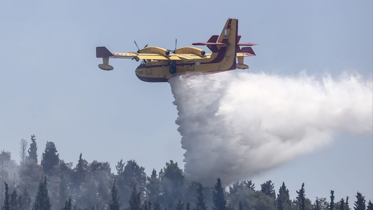 Συναγερμός για νέα φωτιά στους Μολάους Λακωνίας Συναγερμός για νέα φωτιά στους Μολάους Λακωνίας