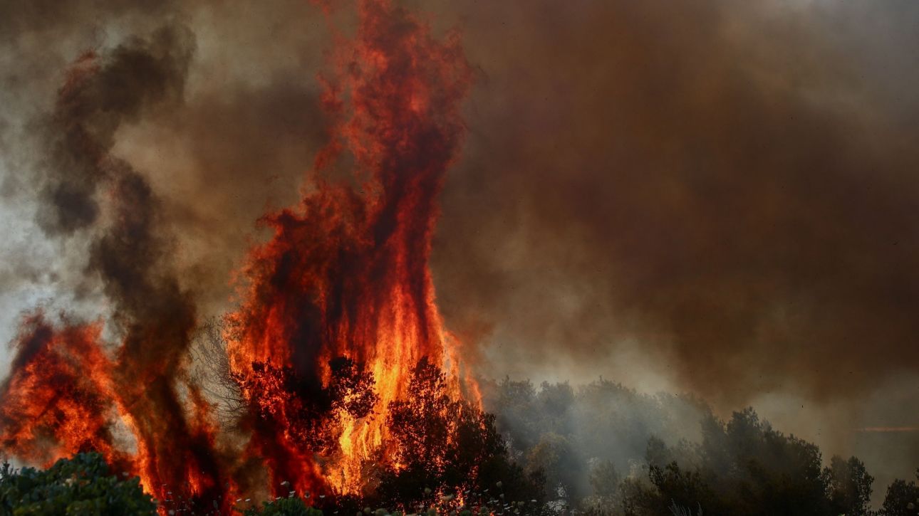 Φωτιά από τη Βόρεια Μακεδονία πέρασε στο Κιλκίς: Καίει περιοχή στη λίμνη Δοϊράνη