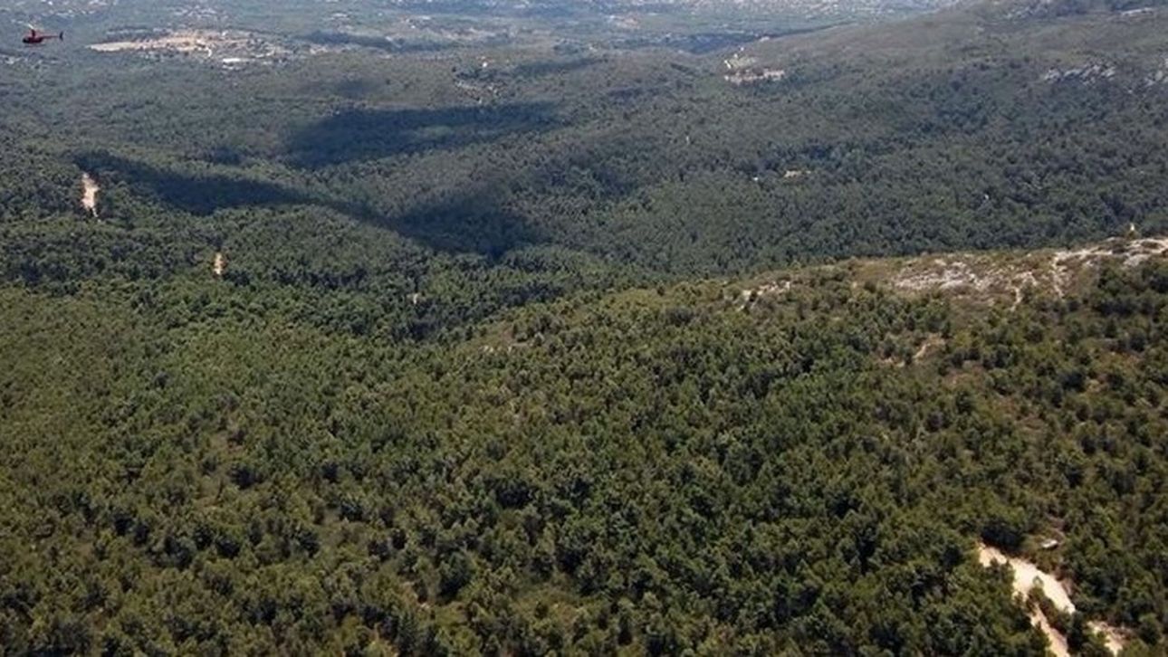 Θεσσαλονίκη: Απαγόρευση κυκλοφορίας σε τέσσερις διασικές περιοχές λόγω υψηλού κινδύνου πυρκαγιάς