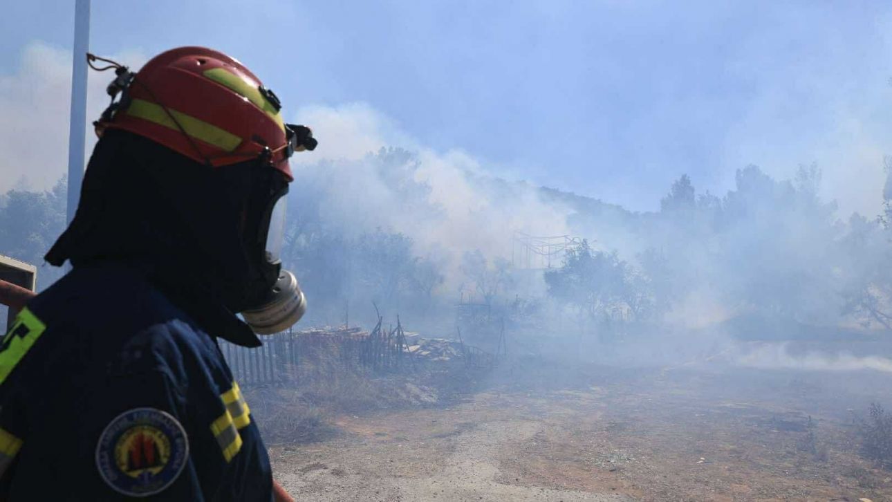 Φωτιά σε δασική έκταση του δήμου Τεμπών Λάρισας