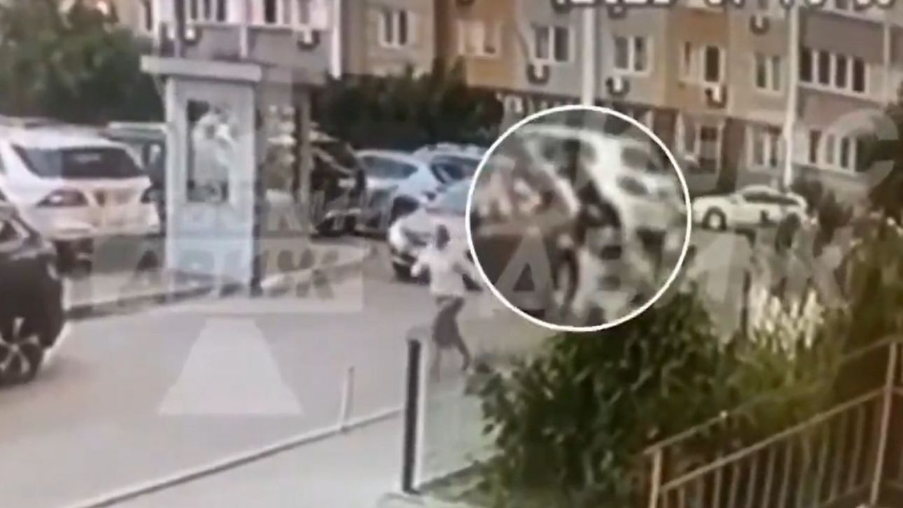 Πράκτορας των ουκρανικών μυστικών υπηρεσιών δολοφονήθηκε στο Κίεβο Πράκτορας των ουκρανικών μυστικών υπηρεσιών δολοφονήθηκε στο Κίεβο
