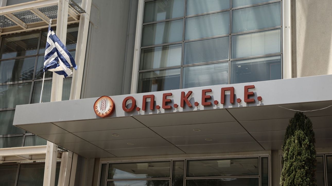 ΟΠΕΚΕΠΕ: Λήγει σήμερα (29/08) η προθεσμία για την υποβολή δηλώσεων ΟΠΕΚΕΠΕ: Λήγει σήμερα (29/08) η προθεσμία για την υποβολή δηλώσεων