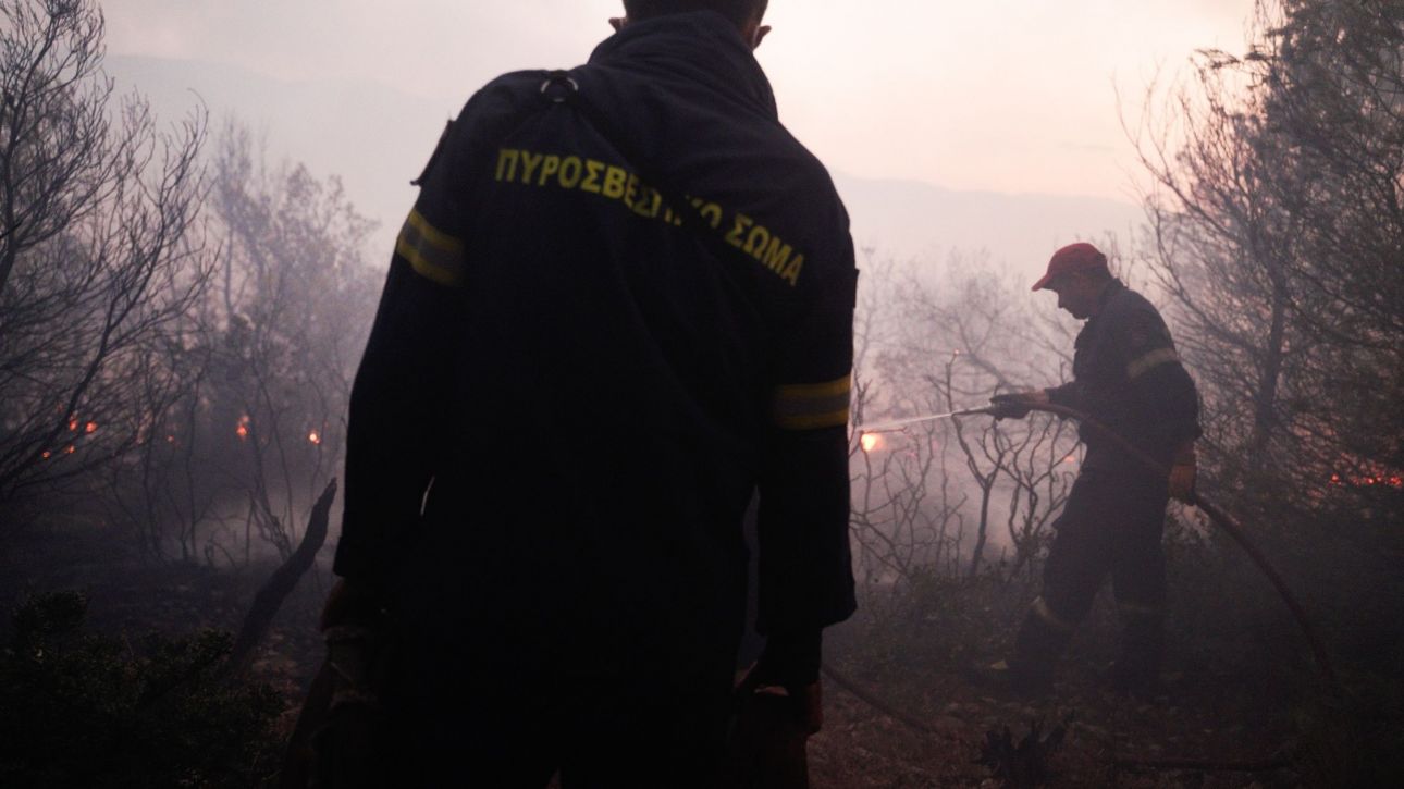Φωτιά σε κτηνοτροφική μονάδα στο Κιλκίς: Μήνυμα από το 112 για επικίνδυνους καπνούς Φωτιά σε κτηνοτροφική μονάδα στο Κιλκίς: Μήνυμα από το 112 για επικίνδυνους καπνούς