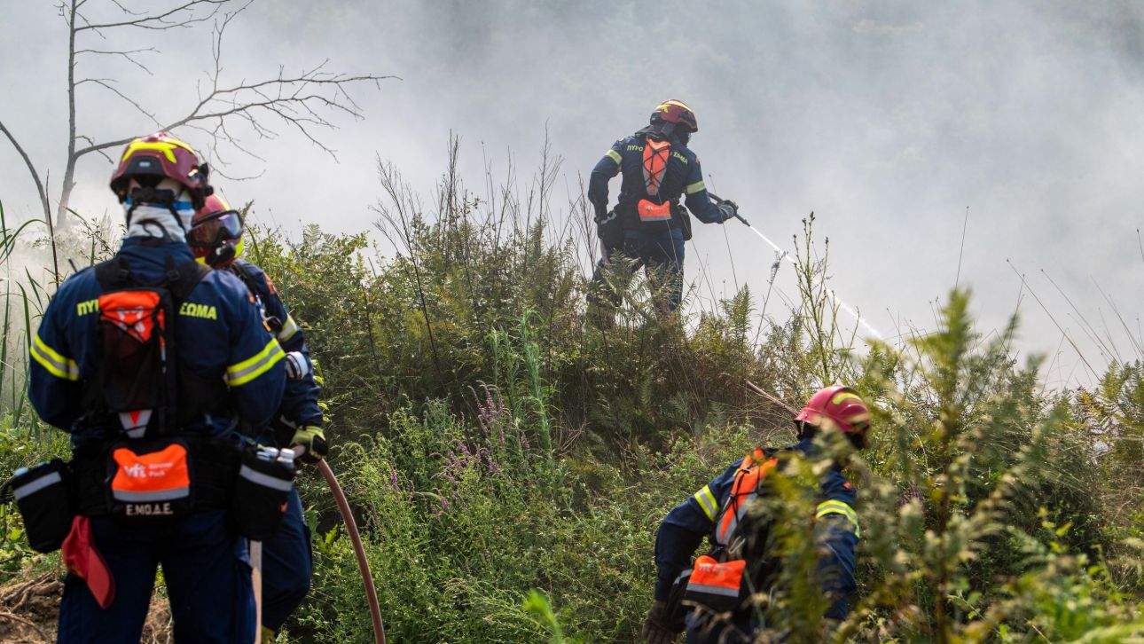 Διάσπαρτες εστίες στη φωτιά στο Γεράκι Αμαλιάδας – Επιχειρούν τα πρώτα εναέρια της ημέρας Διάσπαρτες εστίες στη φωτιά στο Γεράκι Αμαλιάδας – Επιχειρούν τα πρώτα εναέρια της ημέρας