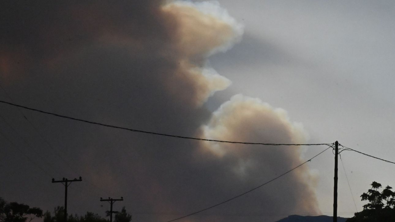 Δύο προσαγωγές για τη φωτιά στην Κορινθία – Σε εξέλιξη οι έρευνες Δύο προσαγωγές για τη φωτιά στην Κορινθία – Σε εξέλιξη οι έρευνες