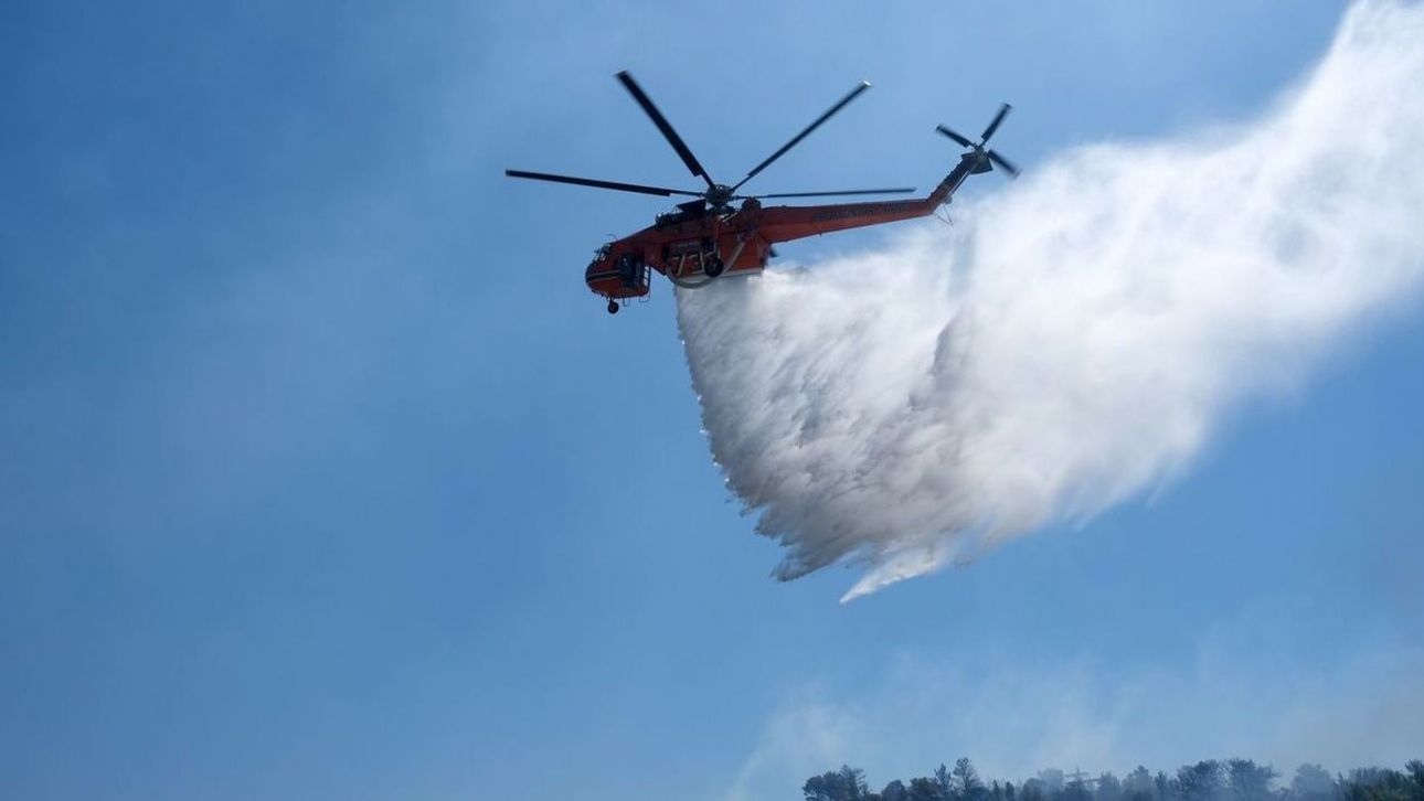 Αρχαία Ολυμπία: Φωτιά σε δασική έκταση στην περιοχή Άγιος Γεώργιος – Σηκώθηκαν εναέρια μέσα Αρχαία Ολυμπία: Φωτιά σε δασική έκταση στην περιοχή Άγιος Γεώργιος – Σηκώθηκαν εναέρια μέσα