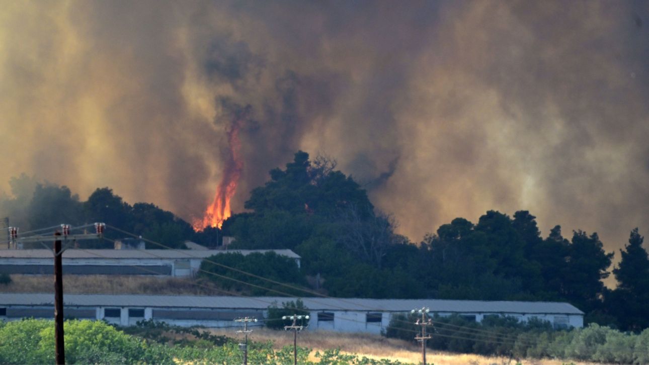 Εκτός ελέγχου η φωτιά στην Εύβοια – Εκκενώνονται οικισμοί, καίγονται πυλώνες της ΔΕΗ Εκτός ελέγχου η φωτιά στην Εύβοια – Εκκενώνονται οικισμοί, καίγονται πυλώνες της ΔΕΗ