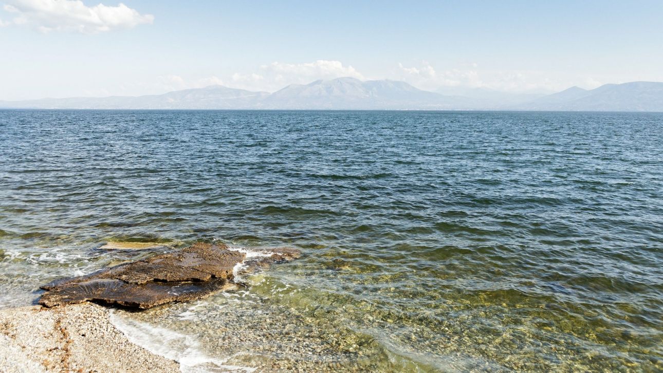 Χαλκιδική: Νεκρός 66χρονος Τσέχος λουόμενος στη θαλάσσια περιοχή της Συκιάς Χαλκιδική: Νεκρός 66χρονος Τσέχος λουόμενος στη θαλάσσια περιοχή της Συκιάς