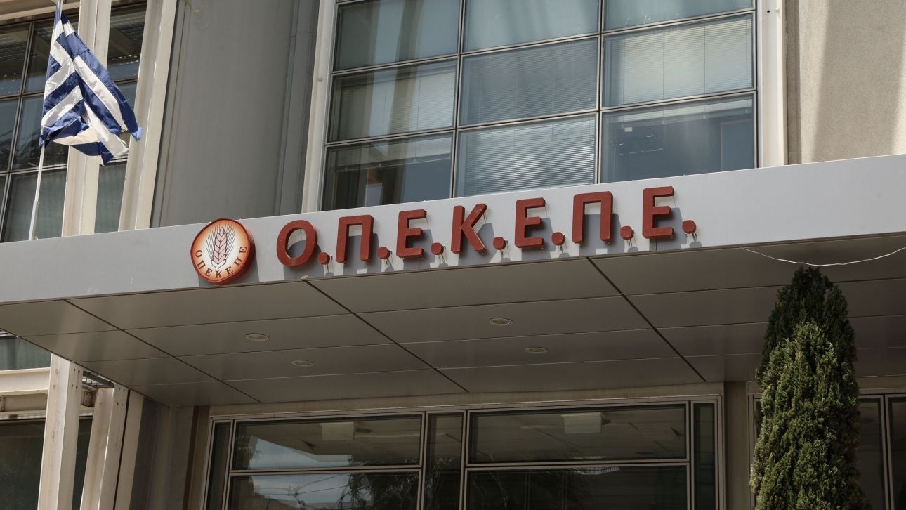 Έφοδος στελεχών της ΑΑΔΕ στα γραφεία του ΟΠΕΚΕΠΕ – Δύο κτηνοτρόφοι πήραν 1,7 εκατ. ευρώ