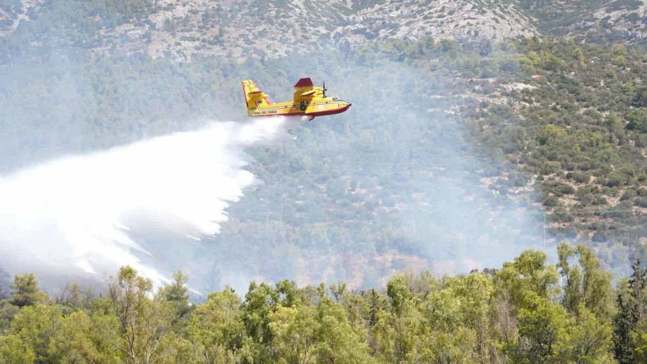 Κρήτη: Οριοθετήθηκε η φωτιά σε δασική έκταση στον Άγιο Νικόλαο Κρήτη: Οριοθετήθηκε η φωτιά σε δασική έκταση στον Άγιο Νικόλαο