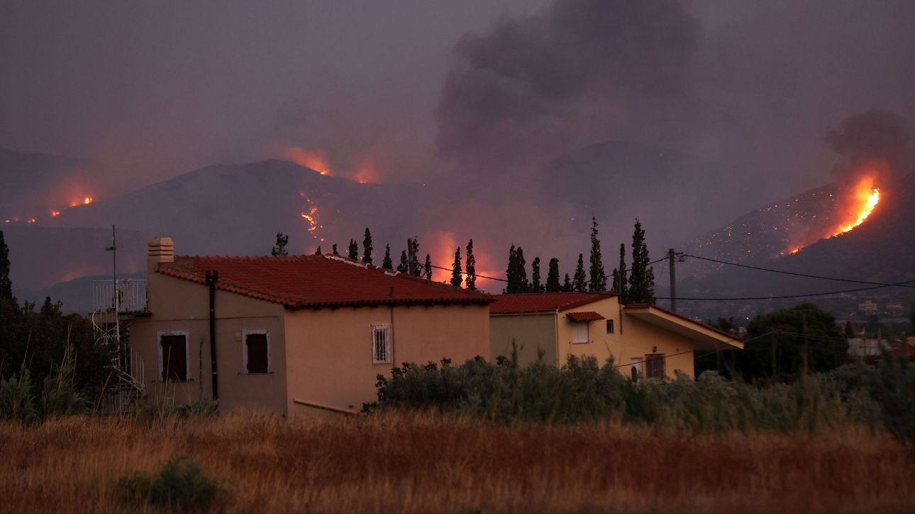 Ξεκίνησαν οι δηλώσεις αποζημιώσεων για ζημιές σε φυτική παραγωγή από τη φωτιά στην Κερατέα Ξεκίνησαν οι δηλώσεις αποζημιώσεων για ζημιές σε φυτική παραγωγή από τη φωτιά στην Κερατέα
