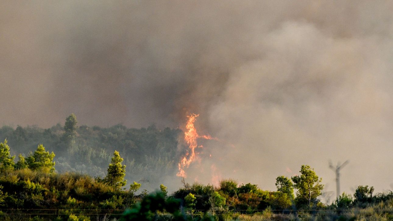 Φωτιά στην Αρχαία Ολυμπία: Μπήκαν οι φλόγες στο χωριό Ηράκλεια Φωτιά στην Αρχαία Ολυμπία: Μπήκαν οι φλόγες στο χωριό Ηράκλεια