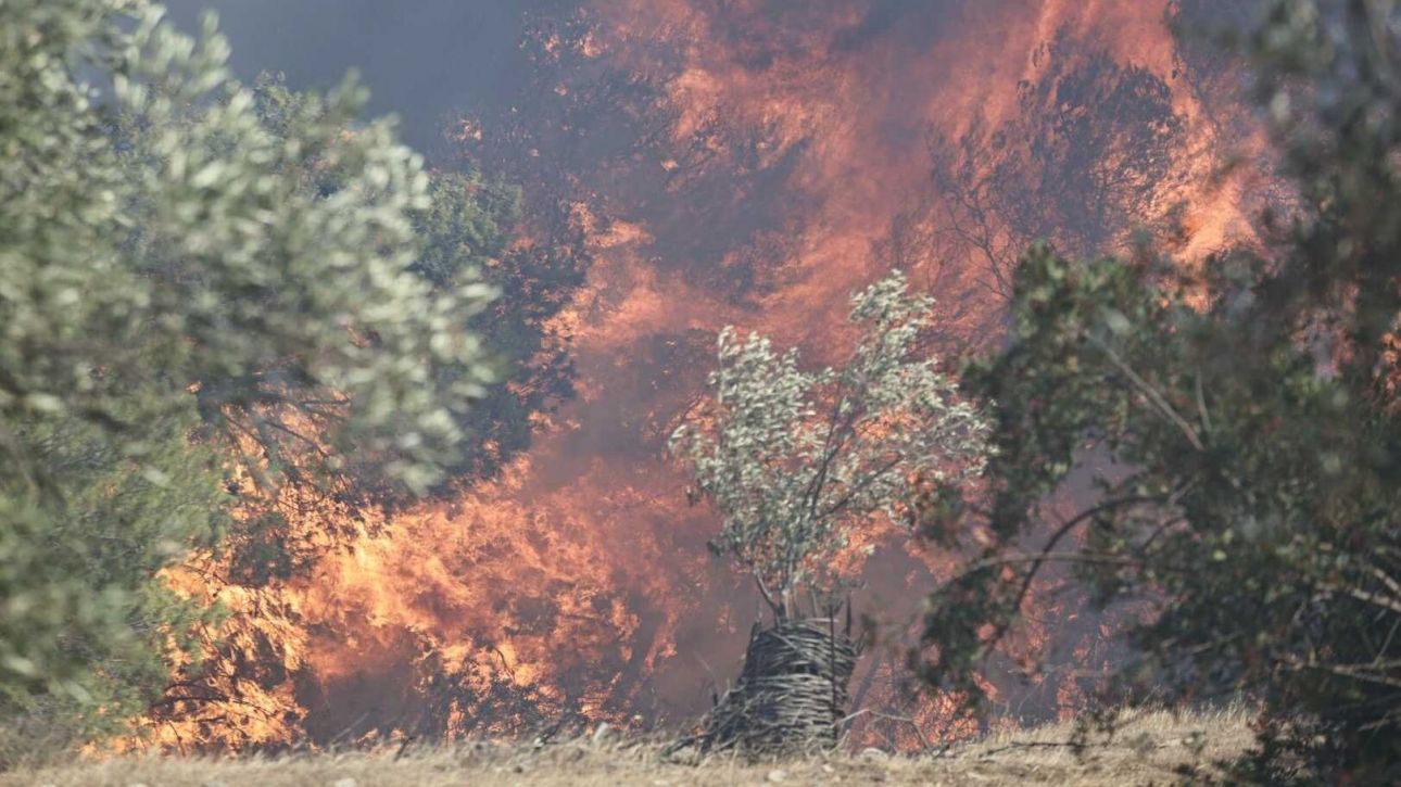 Φωτιά στην Κερατέα: Τουλάχιστον 20 απεγκλωβισμοί κατοίκων από ΕΛΑΣ και Πυροσβεστική