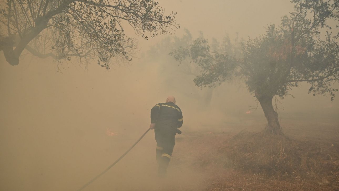 Φωτιά στην Κερατέα: Ρουμάνοι πυροσβέστες επιχειρούν στο πλάι των ελληνικών δυνάμεων Φωτιά στην Κερατέα: Ρουμάνοι πυροσβέστες επιχειρούν στο πλάι των ελληνικών δυνάμεων